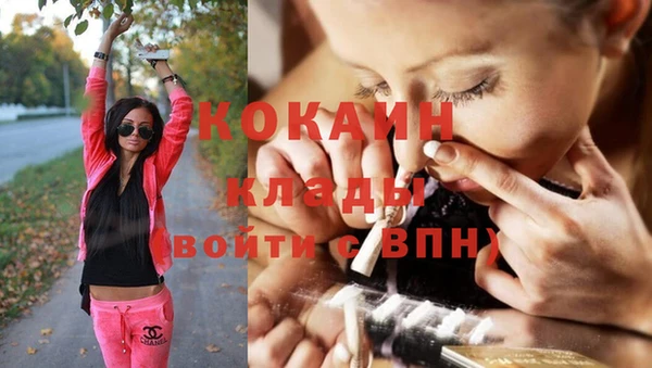 крисы Армянск