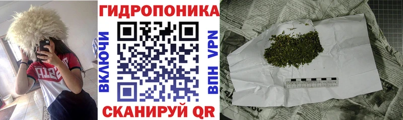 наркошоп darknet какой сайт Каннабис OG Kush Балей